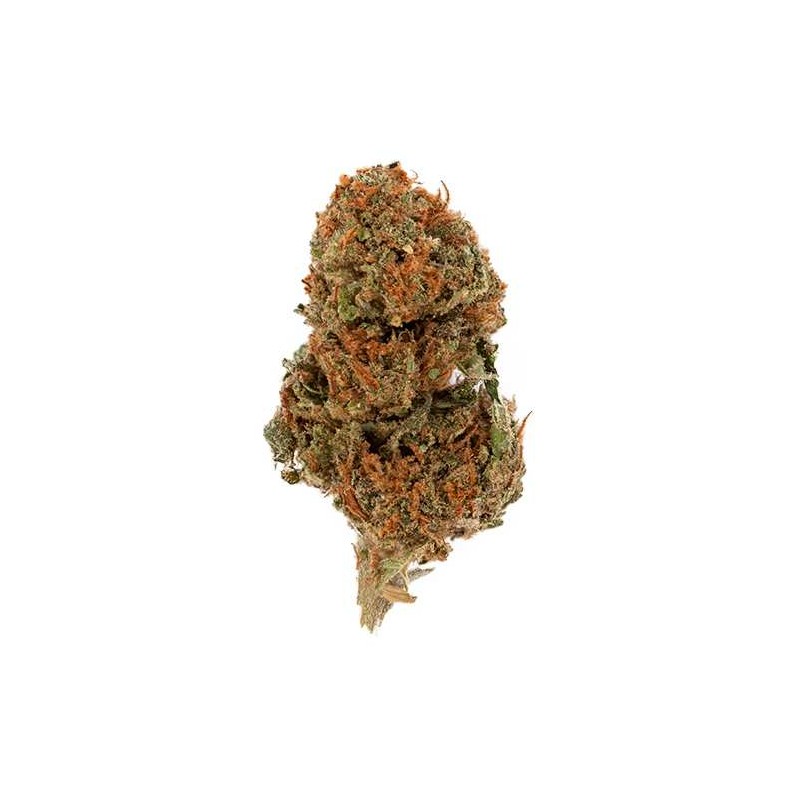 Fleur de CBD Small Bud Premium