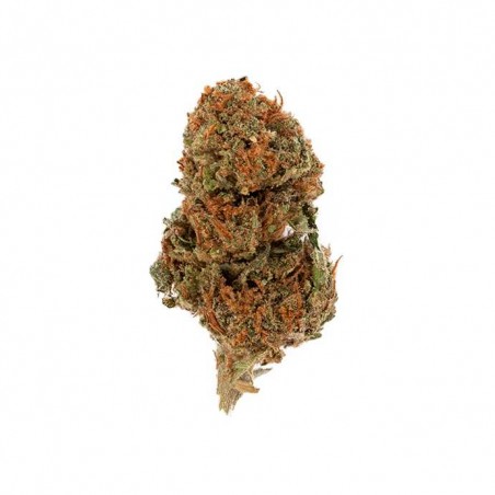 Fleur de CBD Small Bud Premium